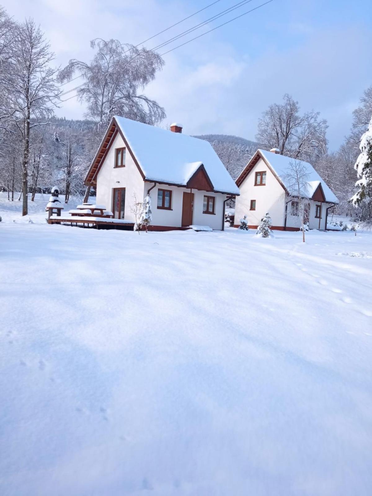 Apartamento Bieszczadzkie Brzegi Ustrzyki Dolne Exterior foto
