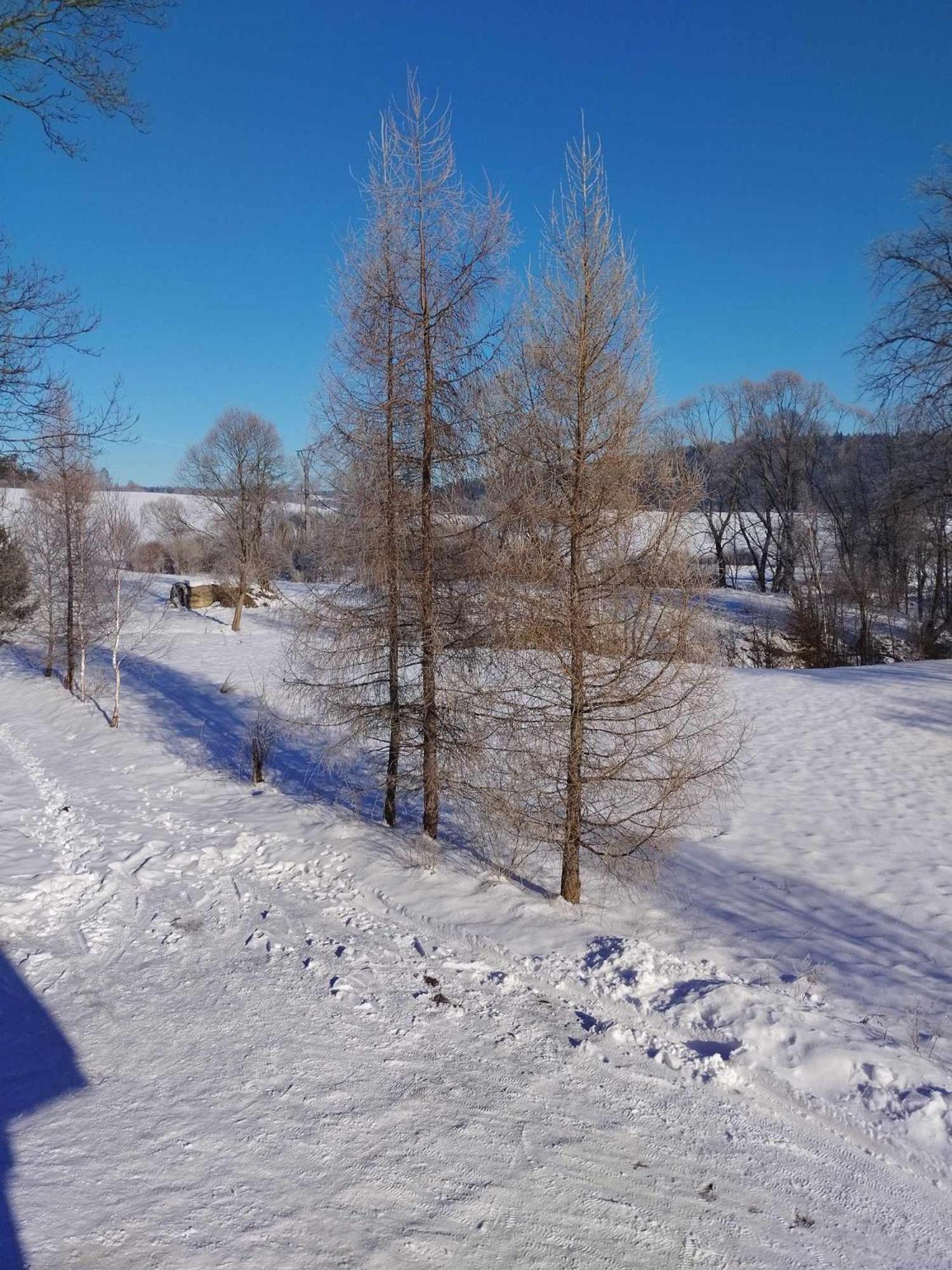 Apartamento Bieszczadzkie Brzegi Ustrzyki Dolne Exterior foto